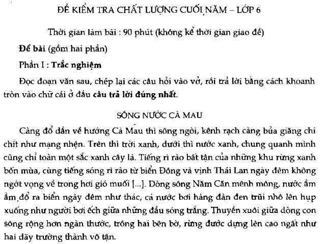 On Tập Tổng Hợp Chuẩn Bị Cho Bai Kiểm Tra Tổng Hợp Cuối Năm Sgk Ngữ Văn 6 Tập 2